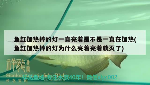 魚缸加熱棒的燈一直亮著是不是一直在加熱(魚缸加熱棒的燈為什么亮著亮著就滅了) 龍魚專用燈