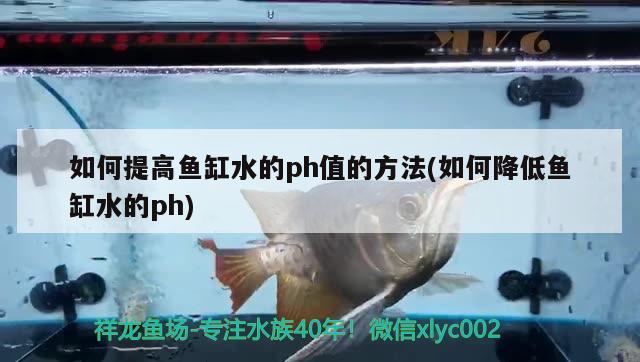 如何提高魚(yú)缸水的ph值的方法(如何降低魚(yú)缸水的ph) 魚(yú)缸風(fēng)水