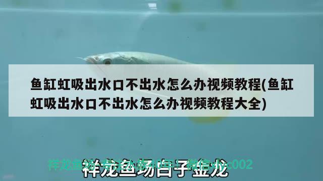 魚(yú)缸虹吸出水口不出水怎么辦視頻教程(魚(yú)缸虹吸出水口不出水怎么辦視頻教程大全) 魚(yú)缸風(fēng)水