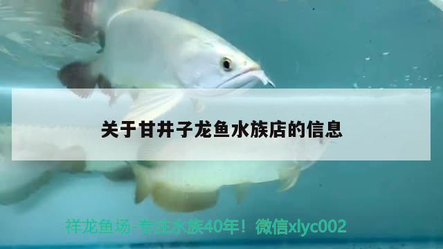 關于甘井子龍魚水族店的信息