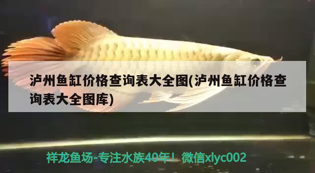 瀘州魚缸價(jià)格查詢表大全圖(瀘州魚缸價(jià)格查詢表大全圖庫(kù)) 祥龍進(jìn)口元寶鳳凰魚