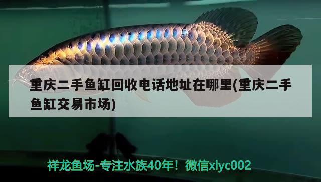 重慶二手魚(yú)缸回收電話地址在哪里(重慶二手魚(yú)缸交易市場(chǎng))