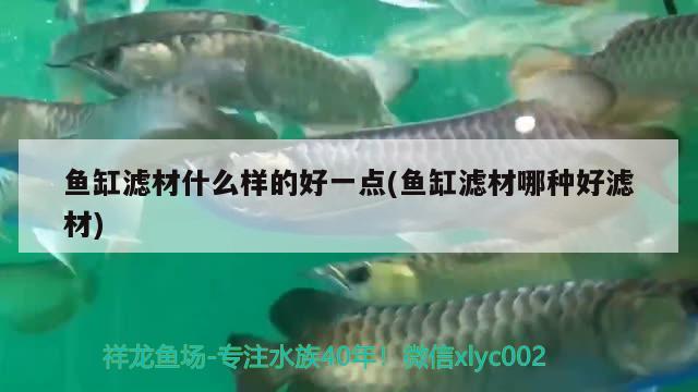 魚缸濾材什么樣的好一點(魚缸濾材哪種好濾材)