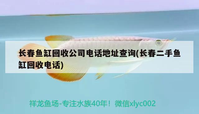 長(zhǎng)春魚缸回收公司電話地址查詢(長(zhǎng)春二手魚缸回收電話) 一眉道人魚