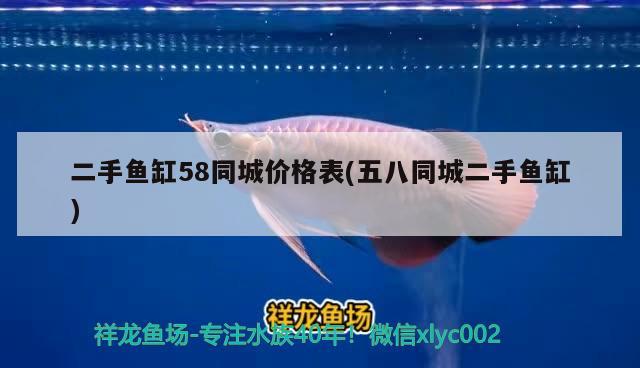 二手魚缸58同城價格表(五八同城二手魚缸) 檸檬鯽