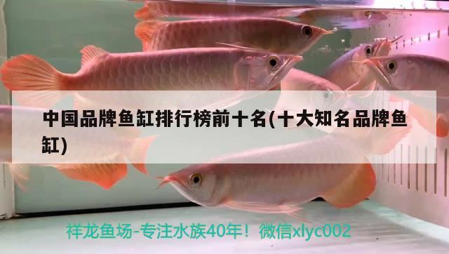 中國品牌魚缸排行榜前十名(十大知名品牌魚缸)