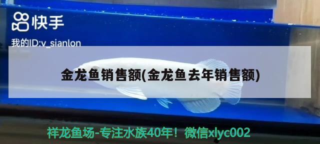 金龍魚銷售額(金龍魚去年銷售額)