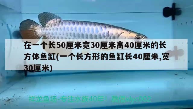 在一個長50厘米寬30厘米高40厘米的長方體魚缸(一個長方形的魚缸長40厘米,寬30厘米)