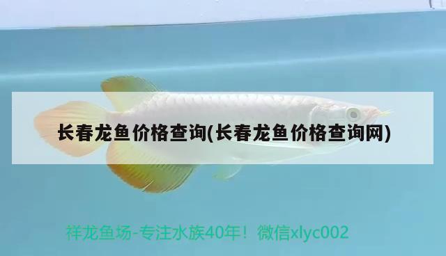 長(zhǎng)春龍魚價(jià)格查詢(長(zhǎng)春龍魚價(jià)格查詢網(wǎng)) 紅眼黃化幽靈火箭魚|皇家火箭魚