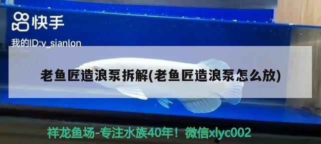 老魚(yú)匠造浪泵拆解(老魚(yú)匠造浪泵怎么放) 老魚(yú)匠