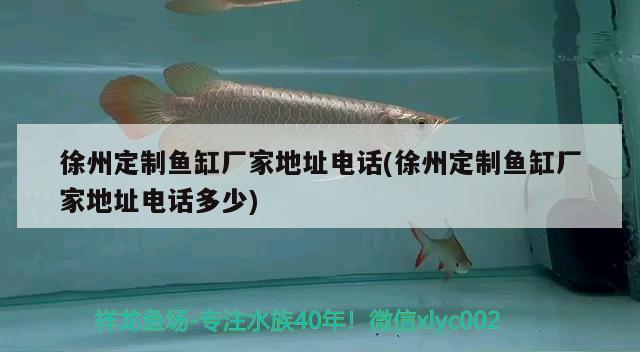 徐州定制魚缸廠家地址電話(徐州定制魚缸廠家地址電話多少) 銀龍魚