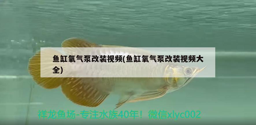 魚缸氧氣泵改裝視頻(魚缸氧氣泵改裝視頻大全)