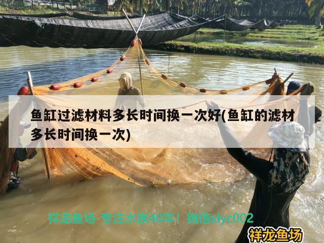 魚缸過濾材料多長(zhǎng)時(shí)間換一次好(魚缸的濾材多長(zhǎng)時(shí)間換一次) 魚缸風(fēng)水