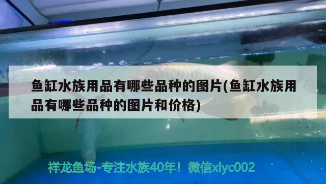 魚缸水族用品有哪些品種的圖片(魚缸水族用品有哪些品種的圖片和價(jià)格) 水族用品