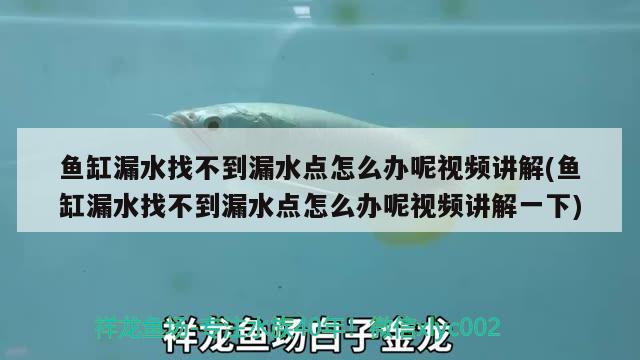 魚缸漏水找不到漏水點怎么辦呢視頻講解(魚缸漏水找不到漏水點怎么辦呢視頻講解一下) 青龍魚