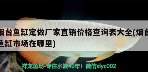 煙臺(tái)魚缸定做廠家直銷價(jià)格查詢表大全(煙臺(tái)魚缸市場(chǎng)在哪里) 白條過背金龍魚