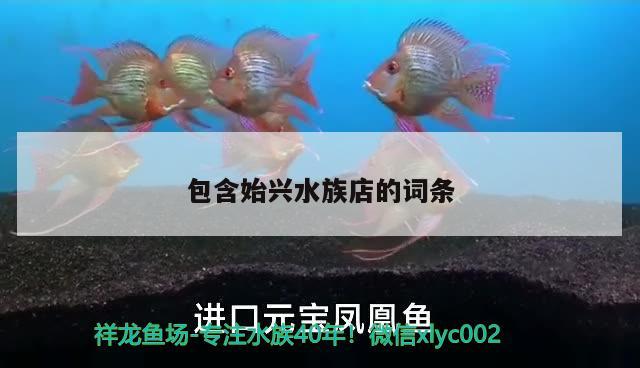 包含始興水族店的詞條 沖氧泵