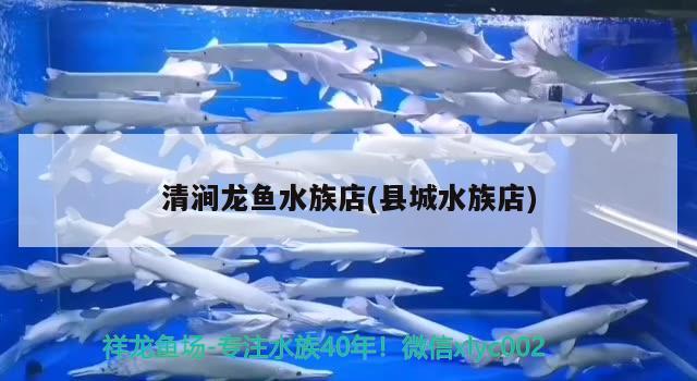 清澗龍魚水族店(縣城水族店) 虎紋銀版魚