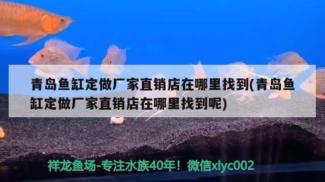 青島魚缸定做廠家直銷店在哪里找到(青島魚缸定做廠家直銷店在哪里找到呢)