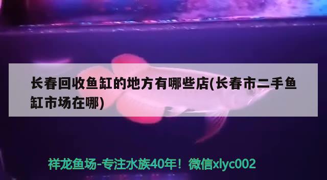 長(zhǎng)春回收魚缸的地方有哪些店(長(zhǎng)春市二手魚缸市場(chǎng)在哪) 祥龍傳奇品牌魚缸