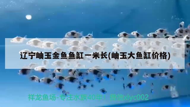 遼寧岫玉金魚魚缸一米長(岫玉大魚缸價格) 黑白雙星