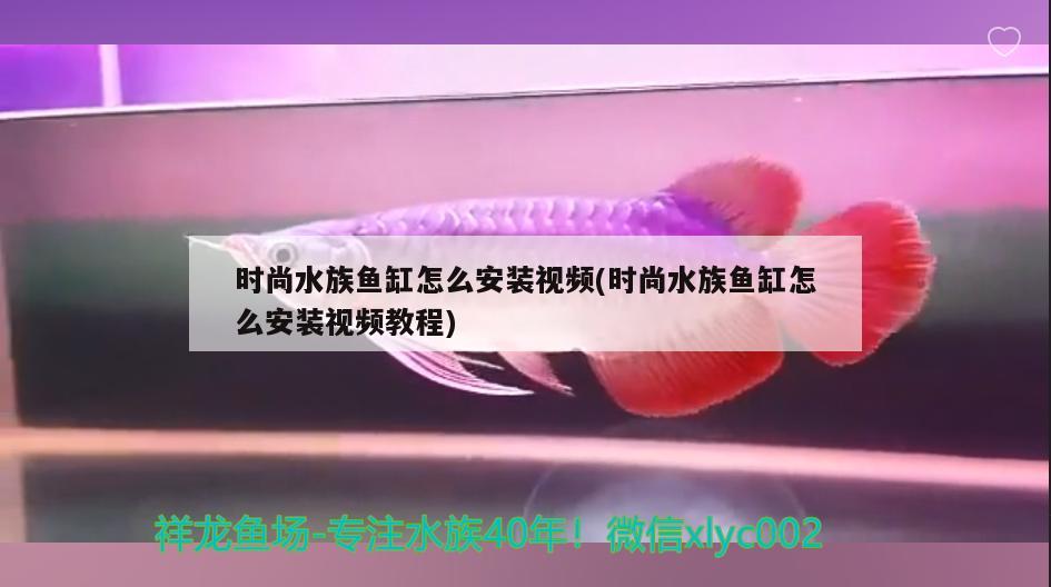 時尚水族魚缸怎么安裝視頻(時尚水族魚缸怎么安裝視頻教程) 二氧化碳設(shè)備