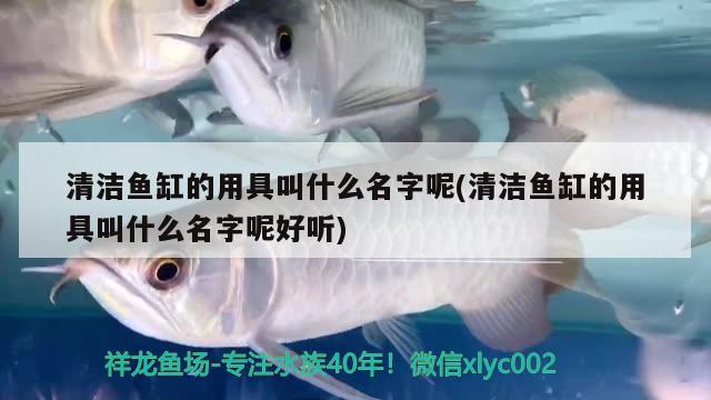 清潔魚缸的用具叫什么名字呢(清潔魚缸的用具叫什么名字呢好聽) 魚缸風(fēng)水