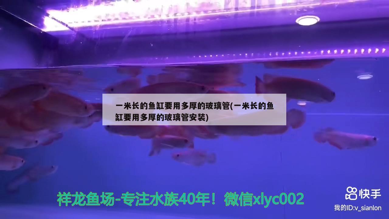 一米長(zhǎng)的魚缸要用多厚的玻璃管(一米長(zhǎng)的魚缸要用多厚的玻璃管安裝)