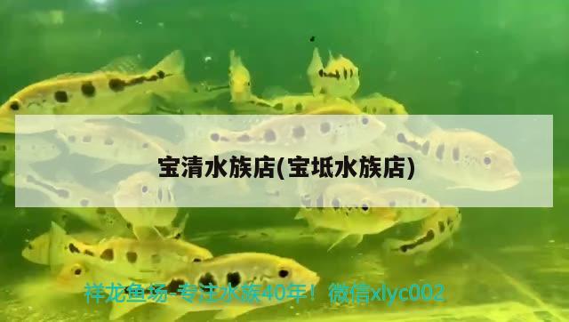 寶清水族店(寶坻水族店)