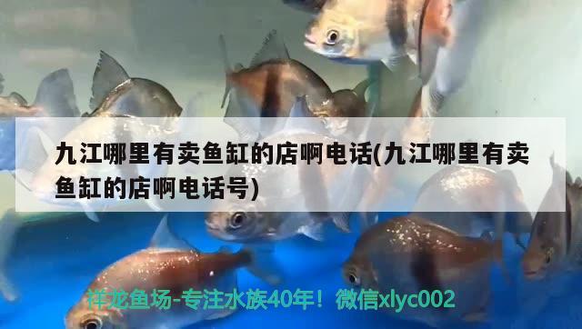 九江哪里有賣魚缸的店啊電話(九江哪里有賣魚缸的店啊電話號)