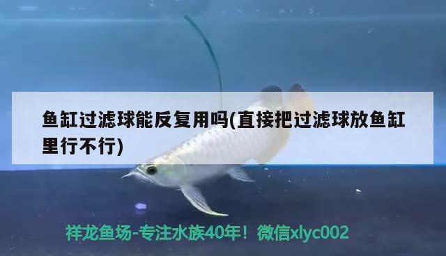 魚缸過濾球能反復用嗎(直接把過濾球放魚缸里行不行) 魚缸風水