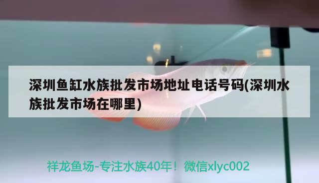 深圳魚缸水族批發(fā)市場地址電話號碼(深圳水族批發(fā)市場在哪里) 觀賞魚水族批發(fā)市場