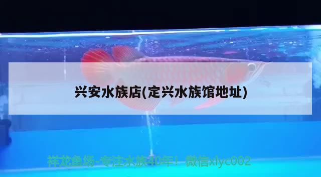 興安水族店(定興水族館地址) 南美異形觀賞魚