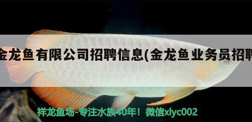 金龍魚有限公司招聘信息(金龍魚業(yè)務(wù)員招聘) 過濾設(shè)備