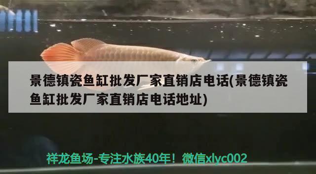 景德鎮(zhèn)瓷魚缸批發(fā)廠家直銷店電話(景德鎮(zhèn)瓷魚缸批發(fā)廠家直銷店電話地址)