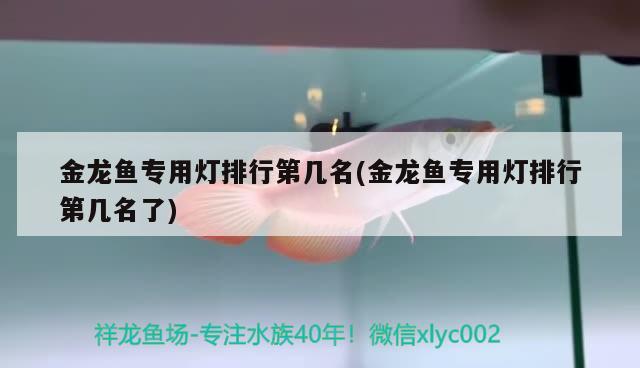 金龍魚專用燈排行第幾名(金龍魚專用燈排行第幾名了) 魚缸水泵