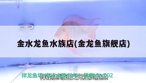 金水龍魚水族店(金龍魚旗艦店) 撒旦鴨嘴魚