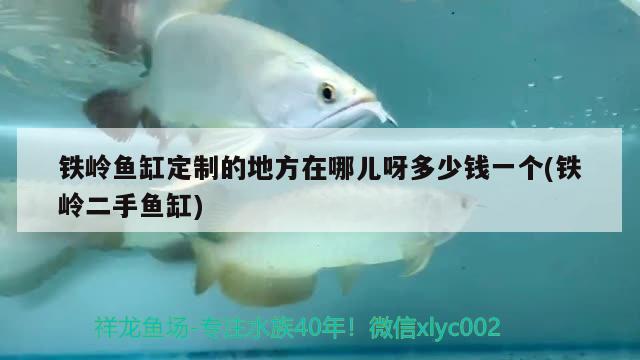 鐵嶺魚缸定制的地方在哪兒呀多少錢一個(gè)(鐵嶺二手魚缸)