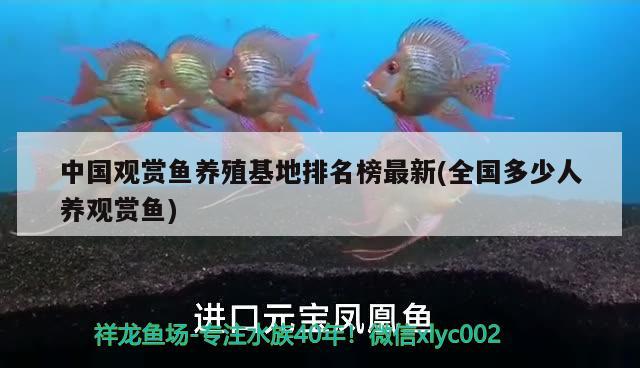 中國(guó)觀賞魚(yú)養(yǎng)殖排名榜最新(全國(guó)多少人養(yǎng)觀賞魚(yú)) 野彩魚(yú)