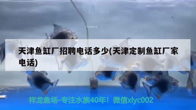 天津魚缸廠招聘電話多少(天津定制魚缸廠家電話) 水族用品