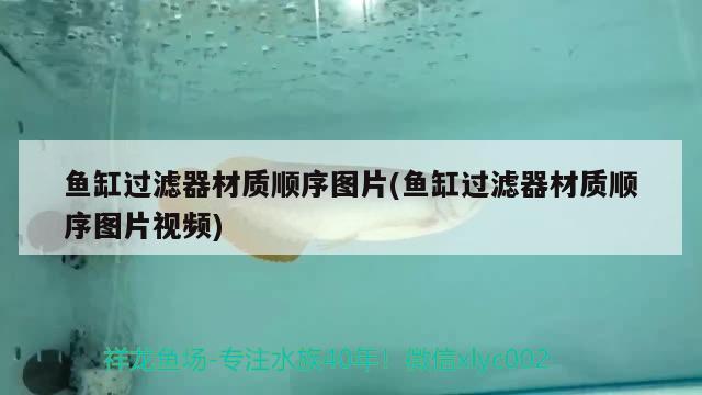 魚缸過(guò)濾器材質(zhì)順序圖片(魚缸過(guò)濾器材質(zhì)順序圖片視頻) 玫瑰銀版魚