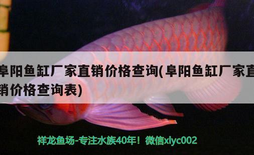 阜陽魚缸廠家直銷價格查詢(阜陽魚缸廠家直銷價格查詢表) 杰西卡恐龍魚