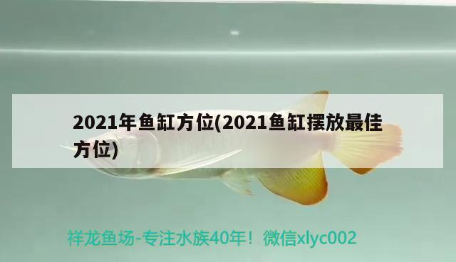 2021年魚缸方位(2021魚缸擺放最佳方位)