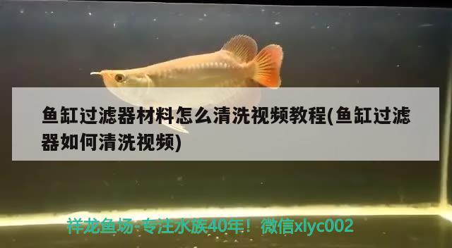 魚(yú)缸過(guò)濾器材料怎么清洗視頻教程(魚(yú)缸過(guò)濾器如何清洗視頻)