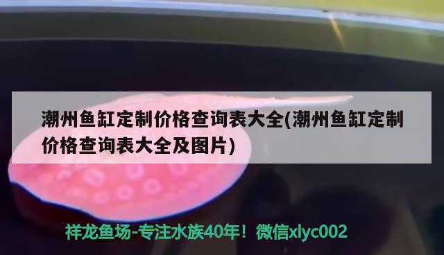 潮州魚缸定制價格查詢表大全(潮州魚缸定制價格查詢表大全及圖片)