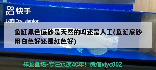 魚缸黑色底砂是天然的嗎還是人工(魚缸底砂用白色好還是紅色好)