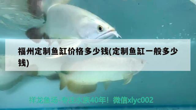 福州定制魚缸價格多少錢(定制魚缸一般多少錢) 水族雜談