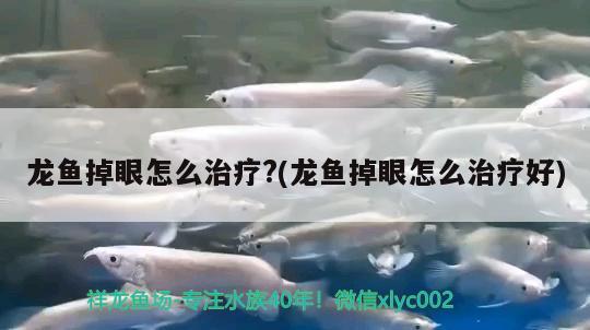 魚缸發(fā)什么物流便宜好點(diǎn)(一個(gè)小魚缸物流運(yùn)費(fèi)多少錢) 黑水素