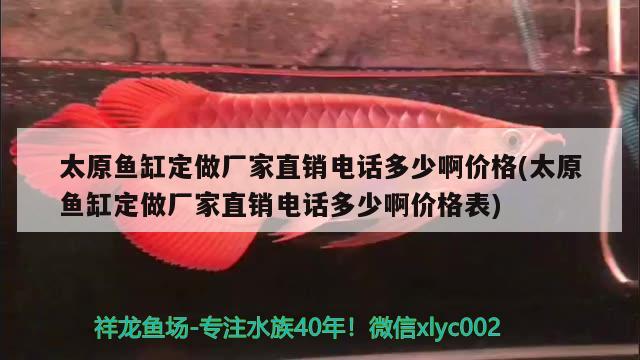 太原魚缸定做廠家直銷電話多少啊價(jià)格(太原魚缸定做廠家直銷電話多少啊價(jià)格表) 硝化細(xì)菌