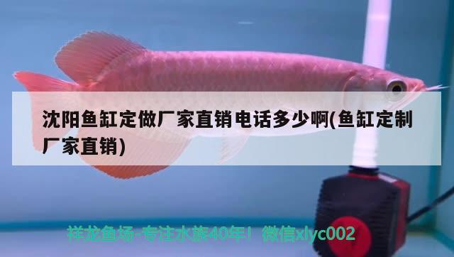 沈陽魚缸定做廠家直銷電話多少啊(魚缸定制廠家直銷) 充氧泵